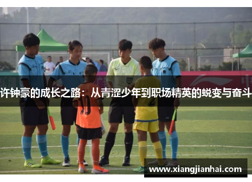 许钟豪的成长之路：从青涩少年到职场精英的蜕变与奋斗
